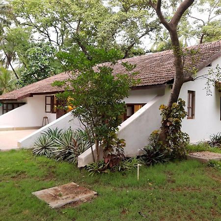 Banyan House - Luxurious 4 Bedroom Villa On One Acre, Near The Beach Nagaon  Exterior foto